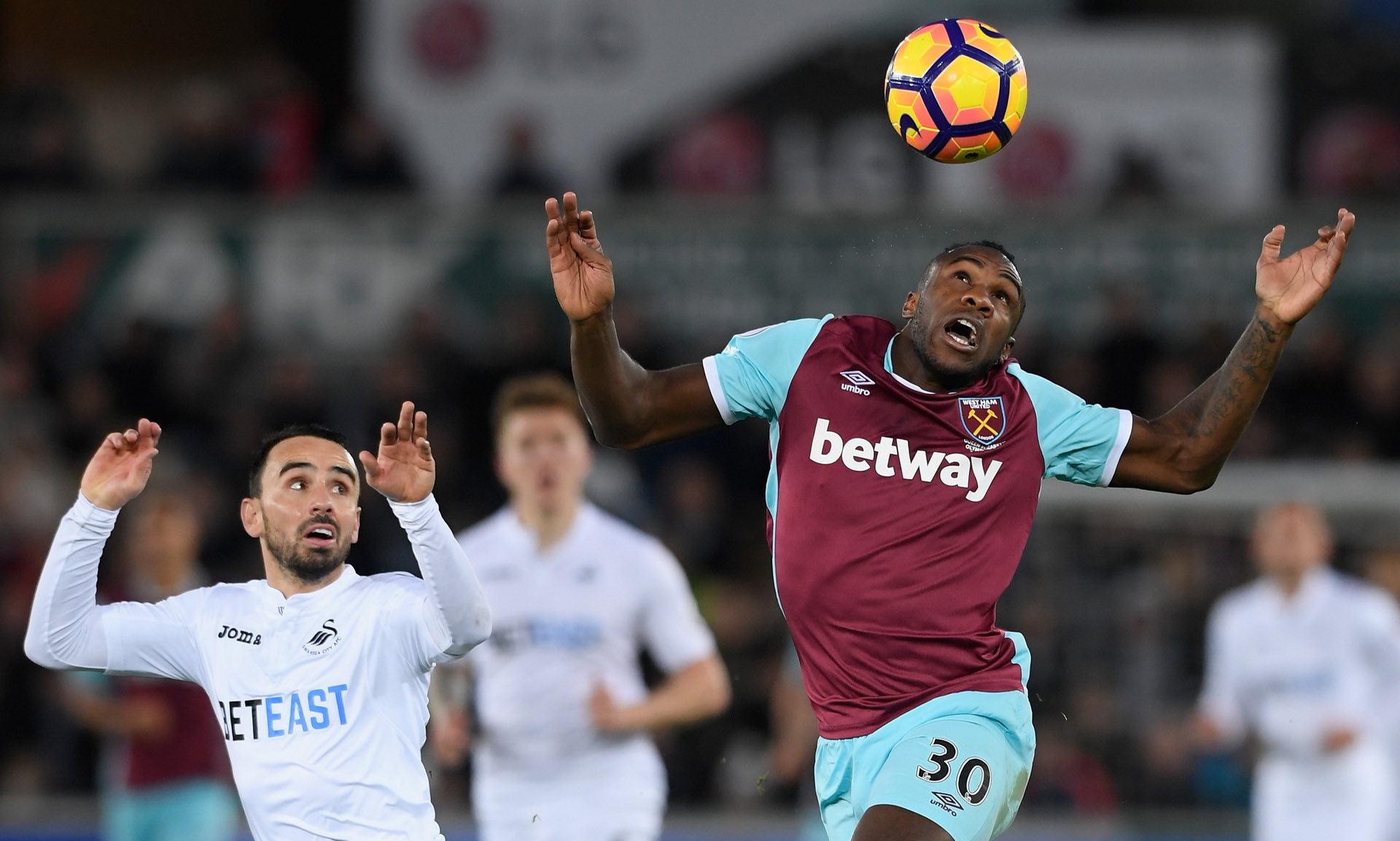 伊万科坚持 伊万科坚持